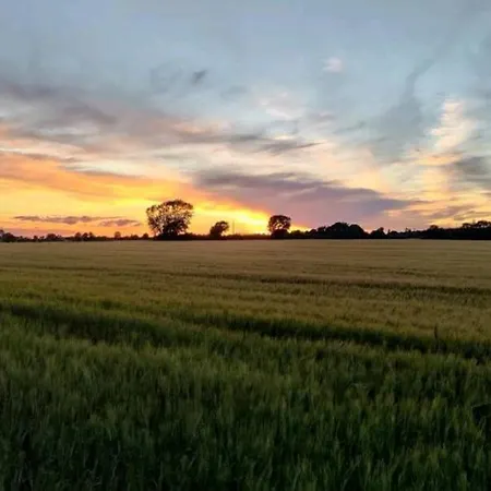 Daire Stevns Birkevang In Idyllic Countryside