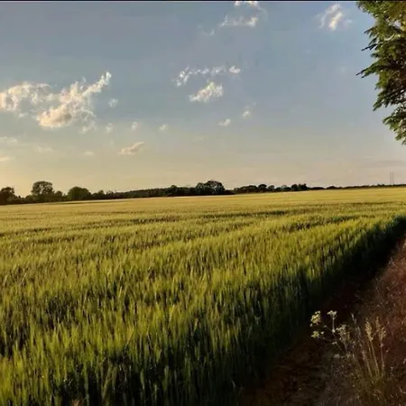Daire Stevns Birkevang In Idyllic Countryside Faxe
