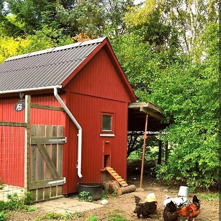 Stevns Birkevang In Idyllic Countryside * Faxe