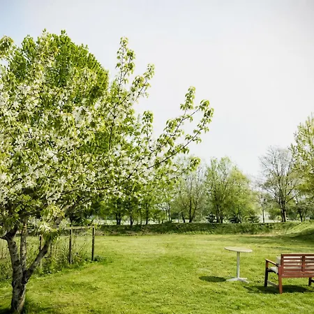 Stevns Birkevang In Idyllic Countryside Faxe