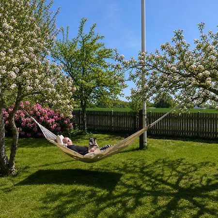 Stevns Birkevang In Idyllic Countryside Daire